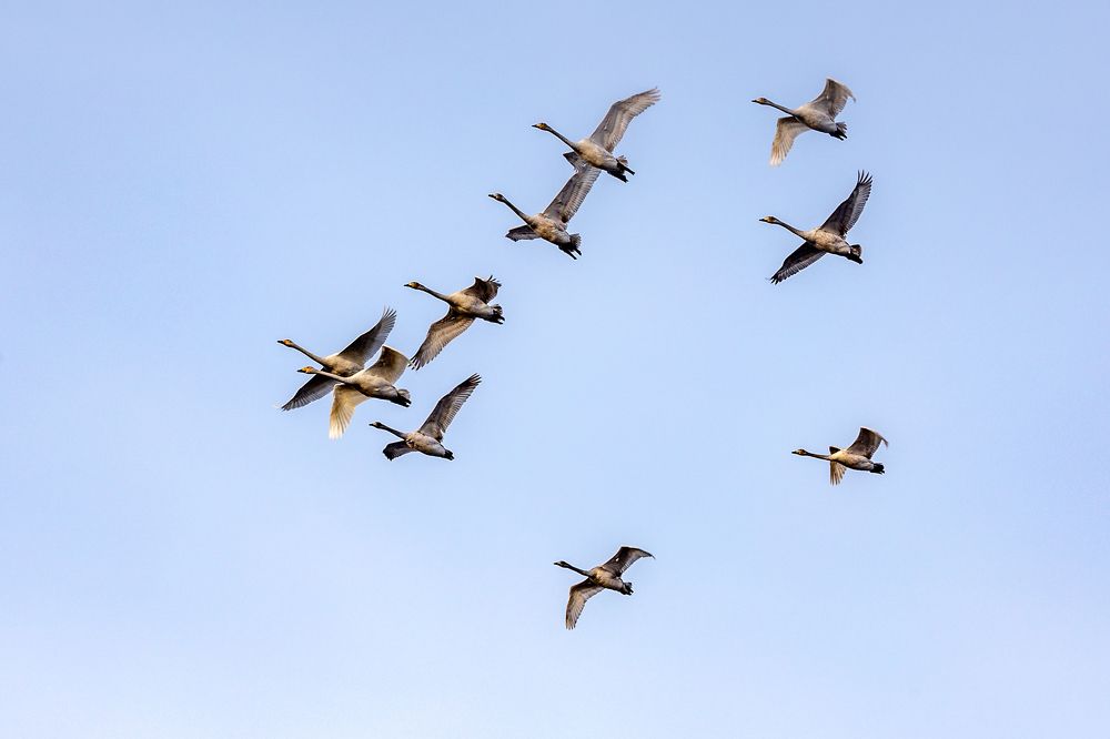 Photograph by виктор ковчин