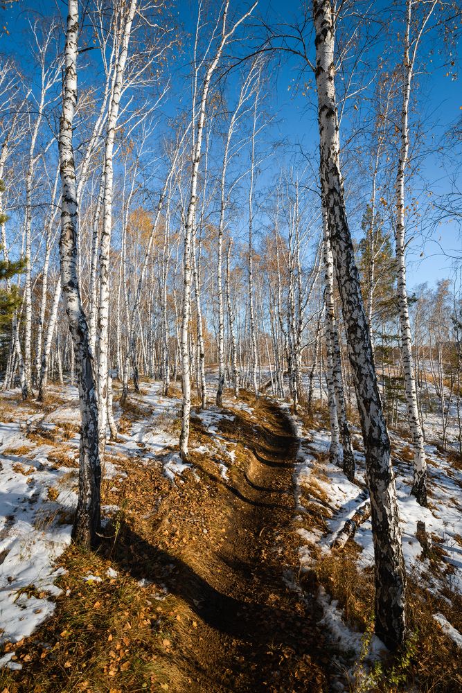 Photograph by Максим Маркин