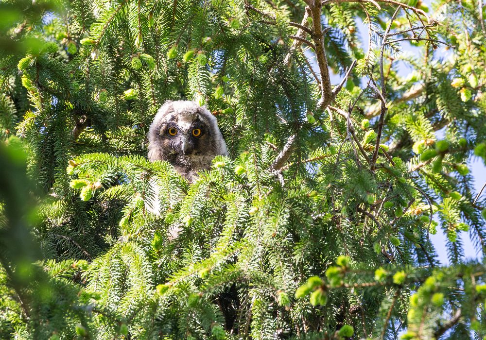 Photograph by Дмитрий Макинский