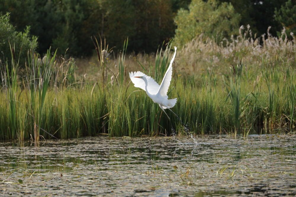 Photograph by Крылова Татьяна