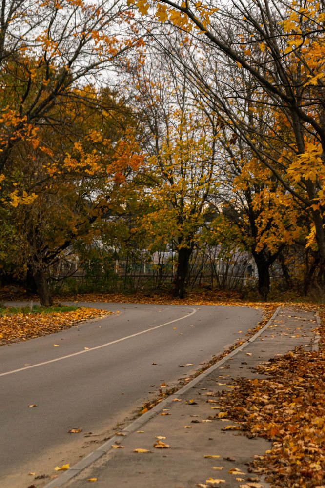 Photograph by Михаил Костыря