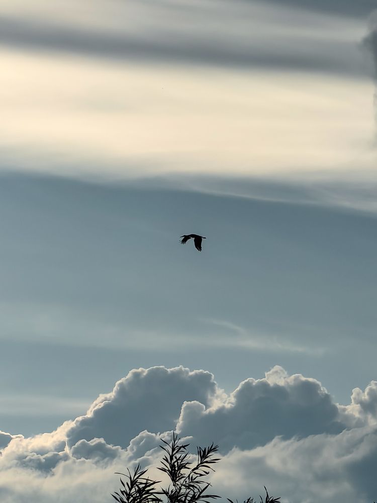 Фотография автора Ольга Панасюк