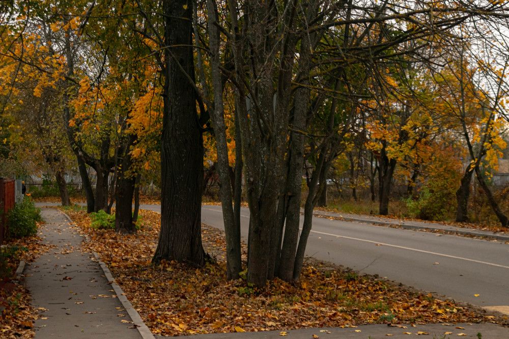 Photograph by Михаил Костыря