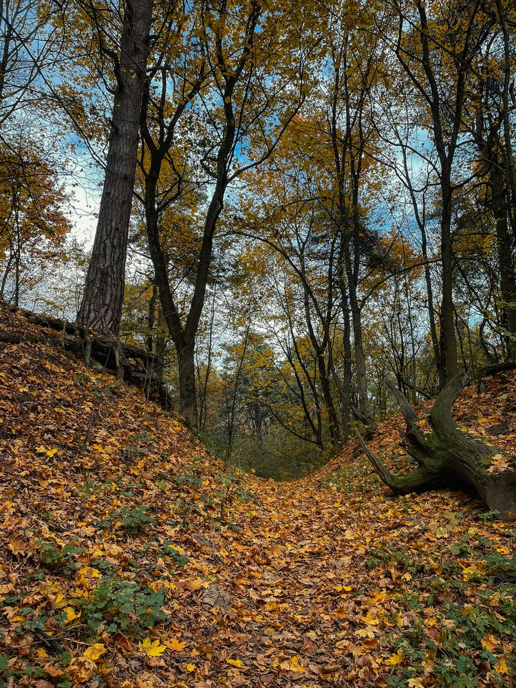 Фотография автора Ольга Каминская