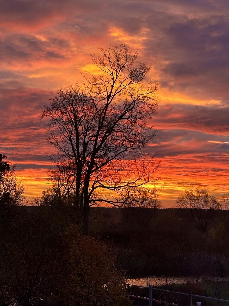 Photograph by Jekaterina Michejeva