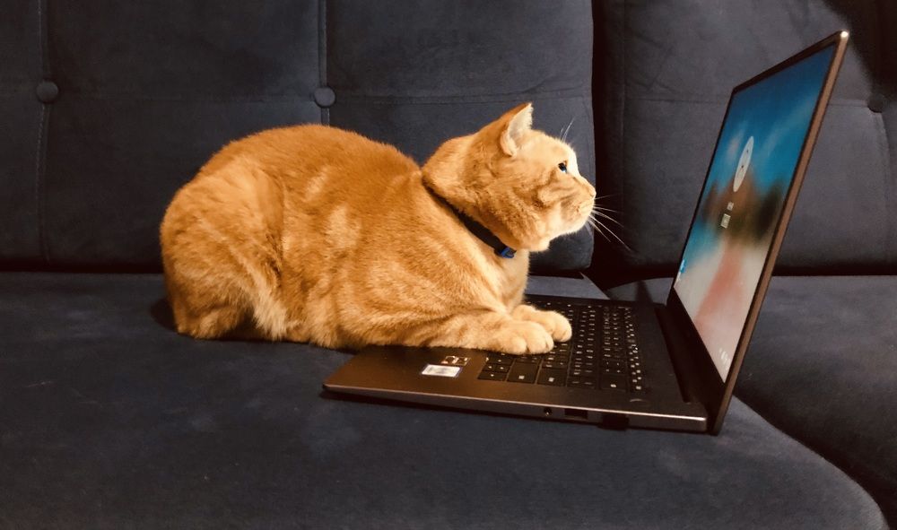 Photograph by Jekaterina Michejeva