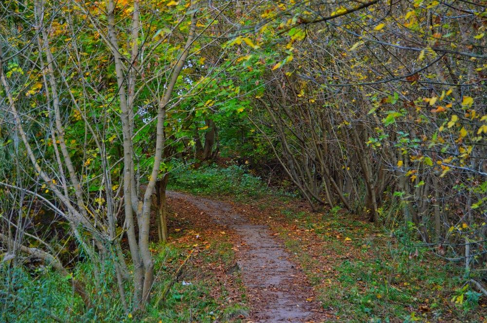 Photograph by Анна Богданова