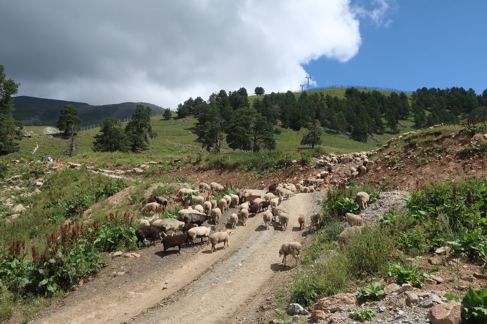 Photograph by Ольга Стоун