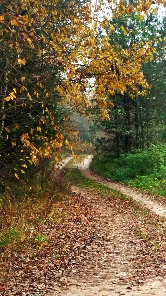 Photograph by Ия Дирко