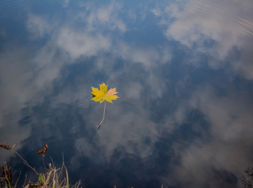 Photograph by Елена Царёва