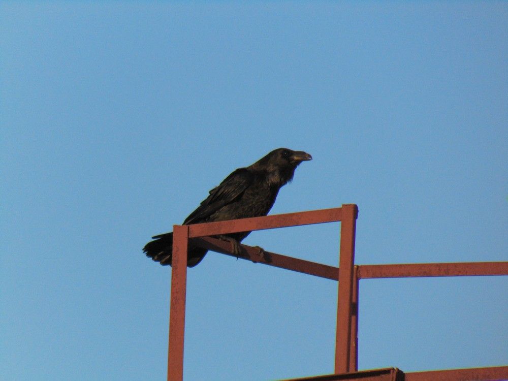 Photograph by Ольга Шевцова