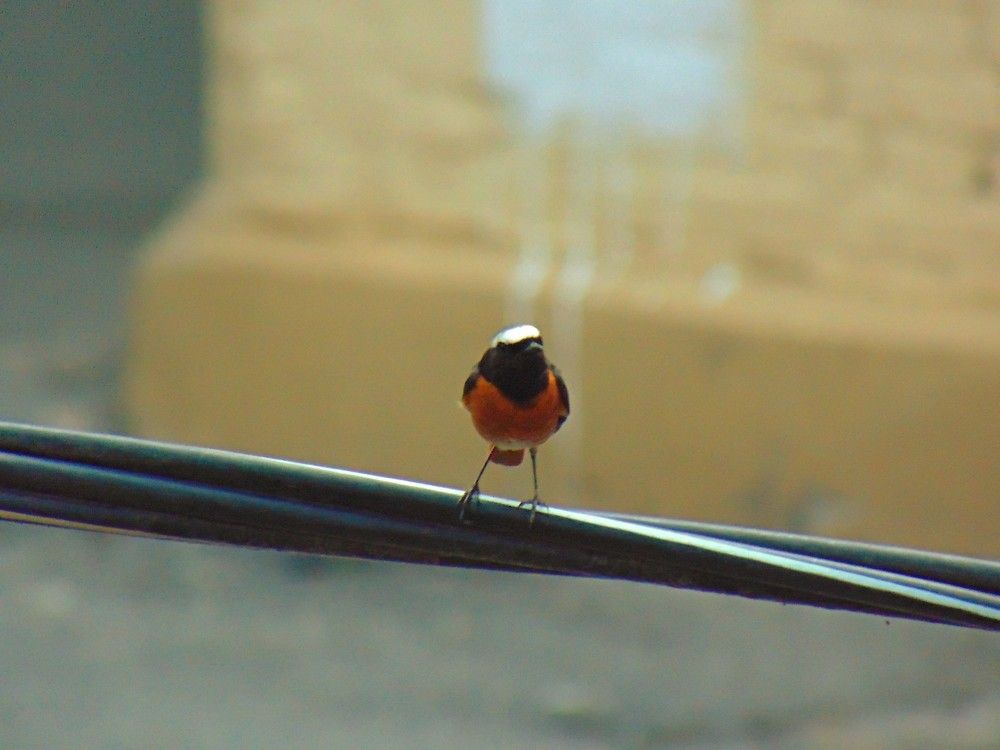 Photograph by Ольга Шевцова