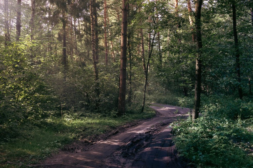 Photograph by Александр Ходакин