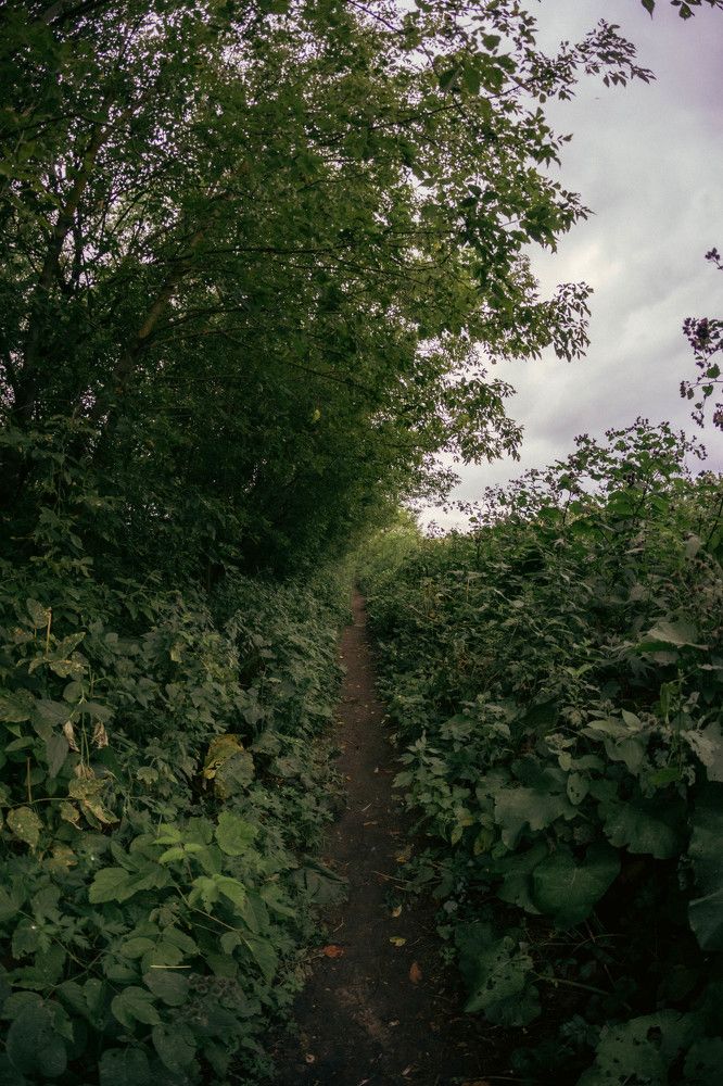 Photograph by Александр Ходакин