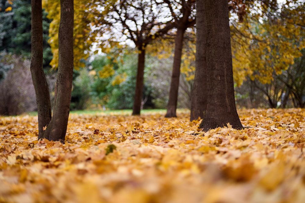 Photograph by Игорь Кад