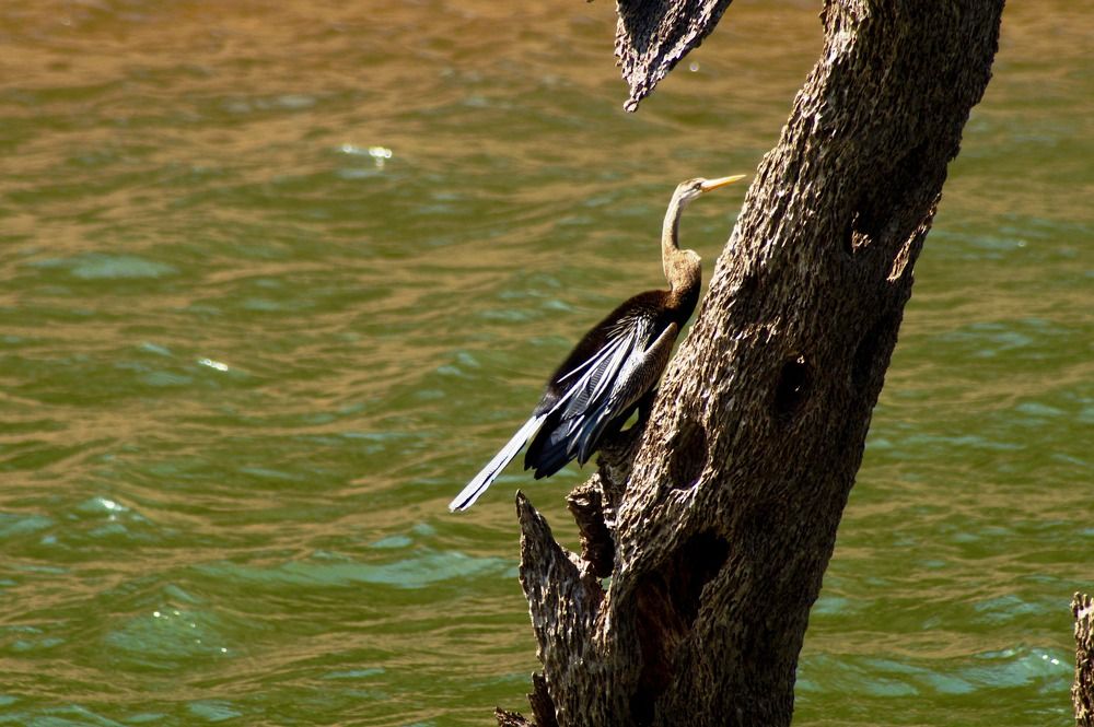Photograph by Ambewadikar sourabh