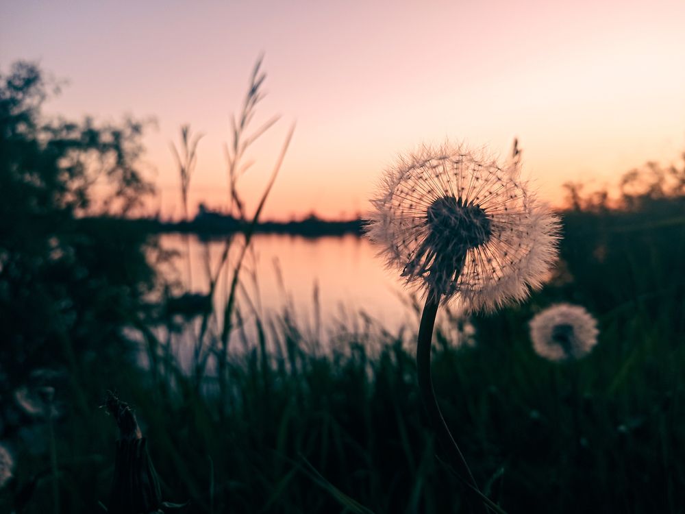 Photograph by Ольга Ситникова