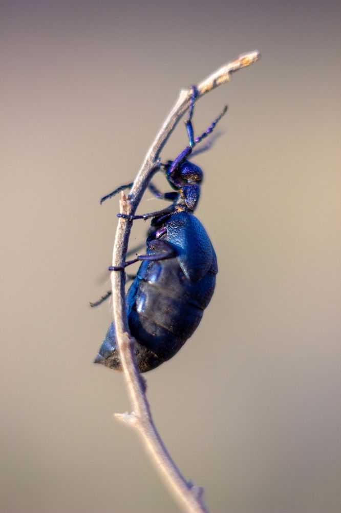 Photograph by Ольга Захарова