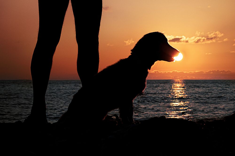 Photograph by Альфия Агзами