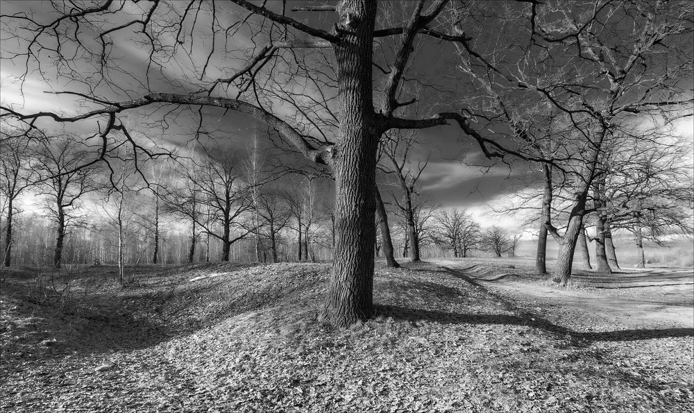 ПОДПИРАЯ ВЕСЕННЕЕ НЕБО...