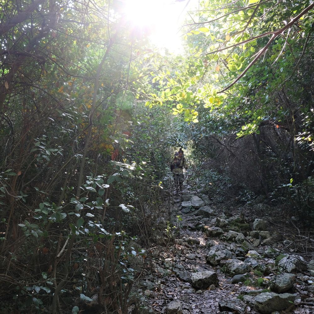 Photograph by Виктор Чернышов