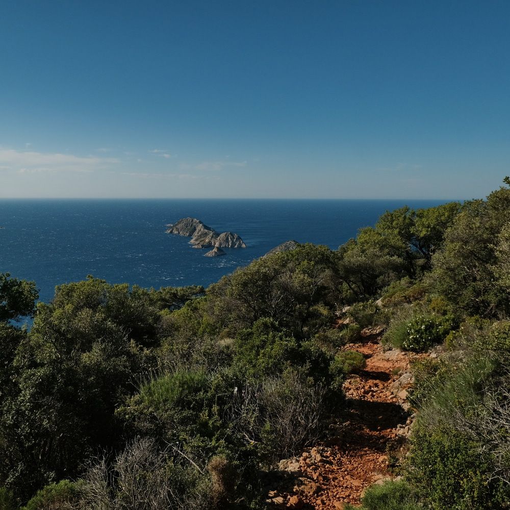 Photograph by Виктор Чернышов