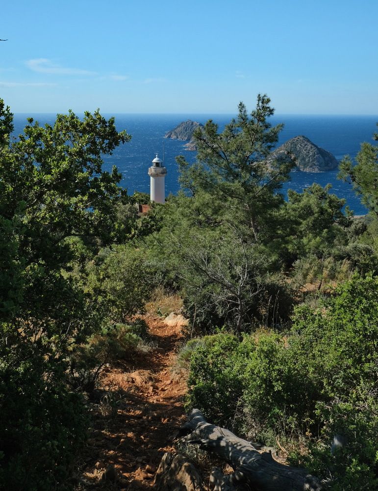 Photograph by Виктор Чернышов