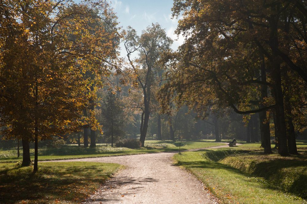 Photograph by Александр Вавулин