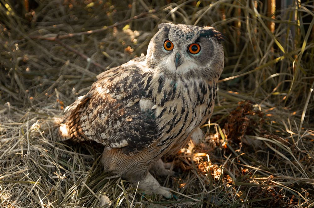 Photograph by Семина Ольга