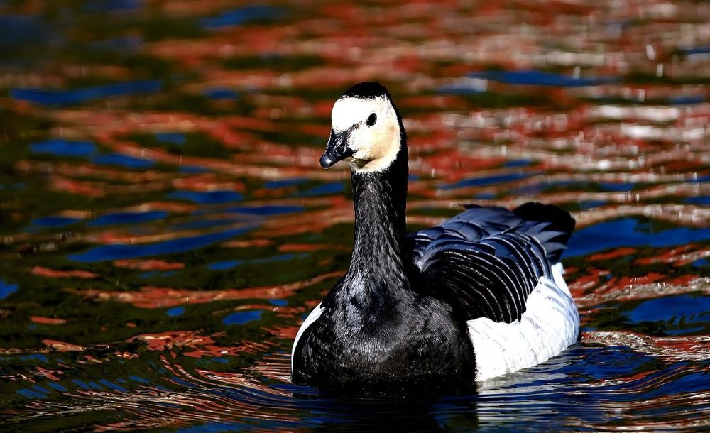 Photograph by Татьяна Слесарева