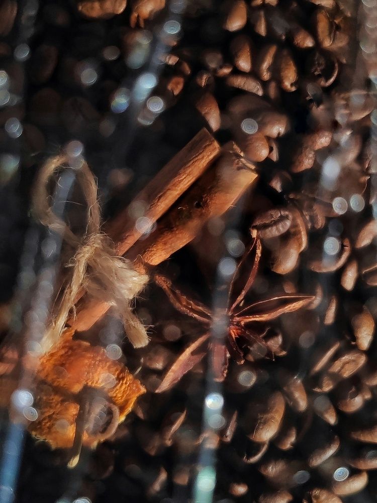 Photograph by Олеся Хижко