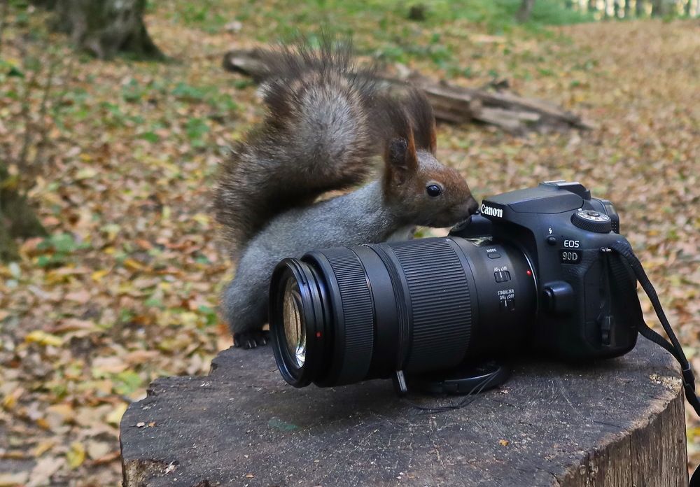 Photograph by 