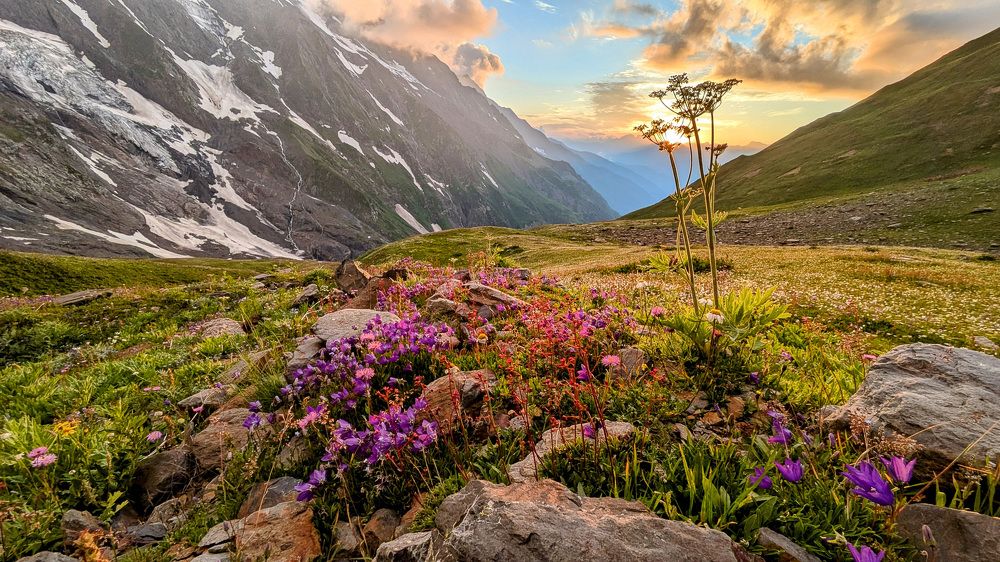 Фотография автора Pavel Bernshtam