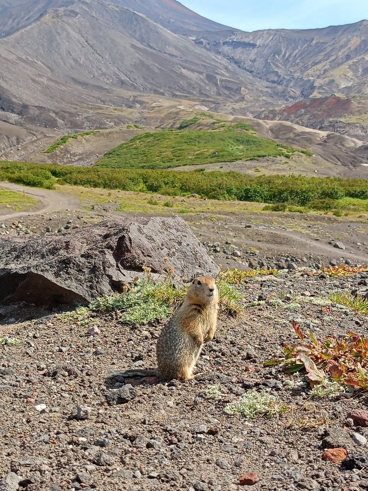 Photo #11249326