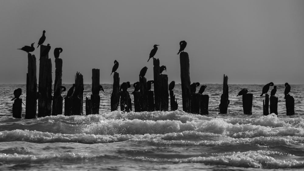 Photograph by Valdis Serzhans