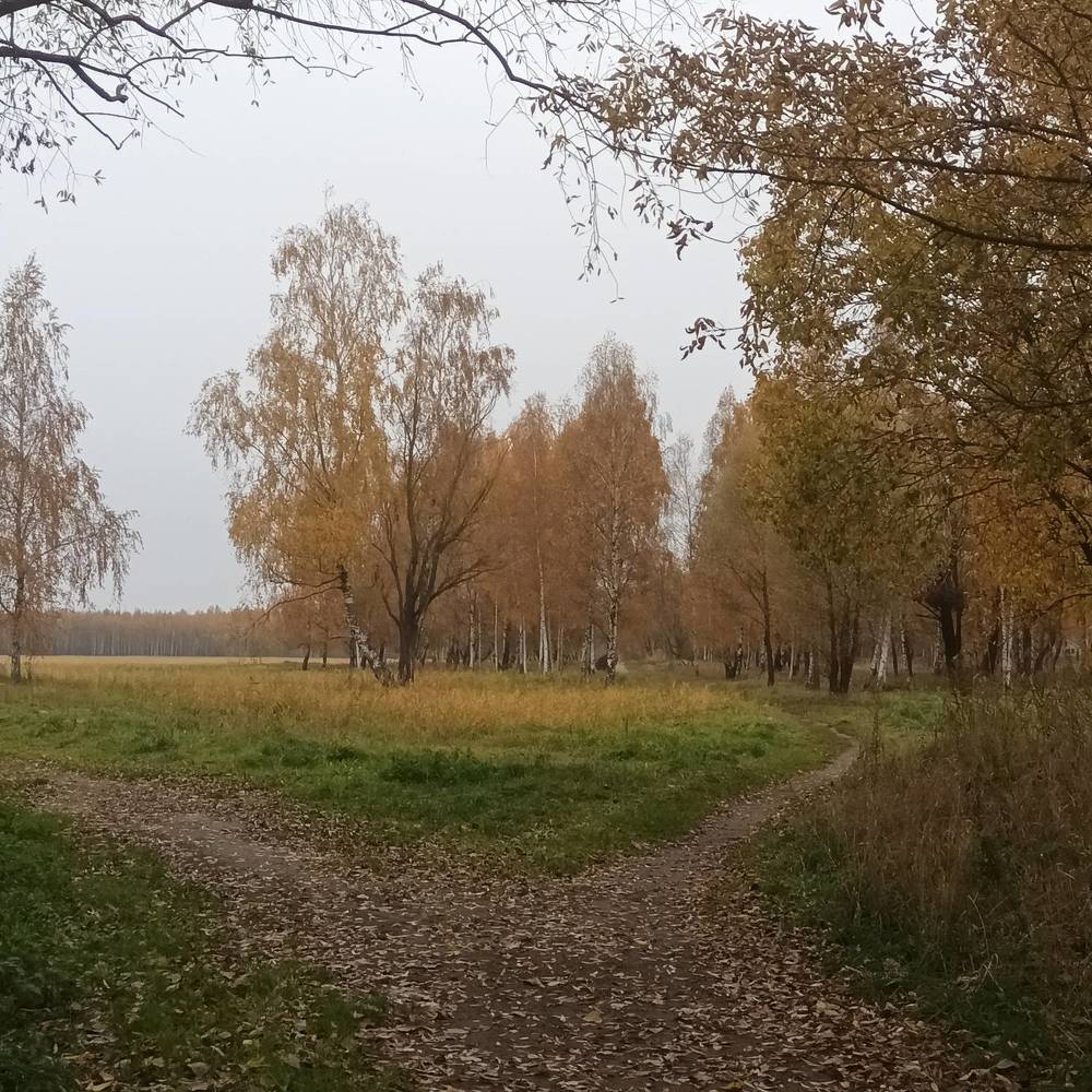 Фотография автора Maks Lanister