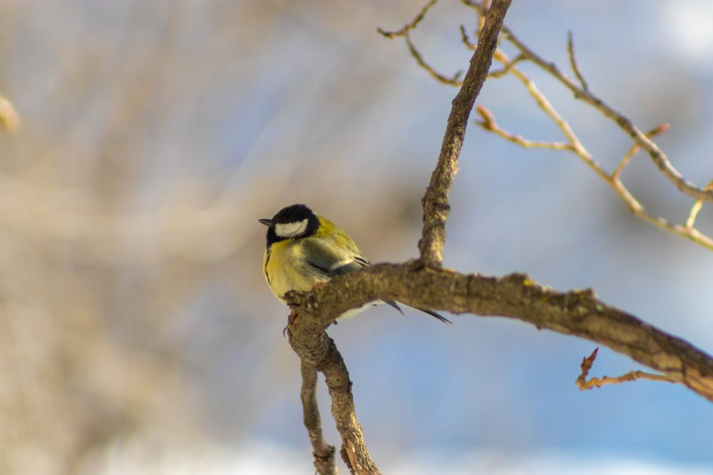 Photograph by Ольга Захарова