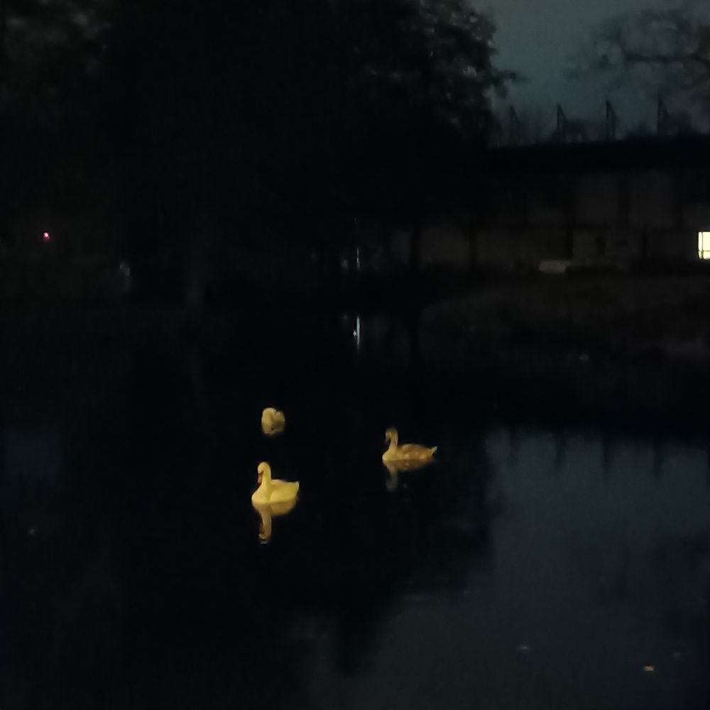 Фотография автора Maks Lanister