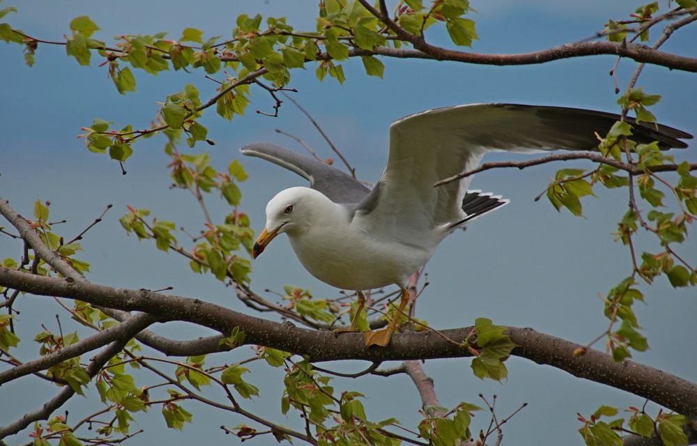 Photograph by Александр Кожевников