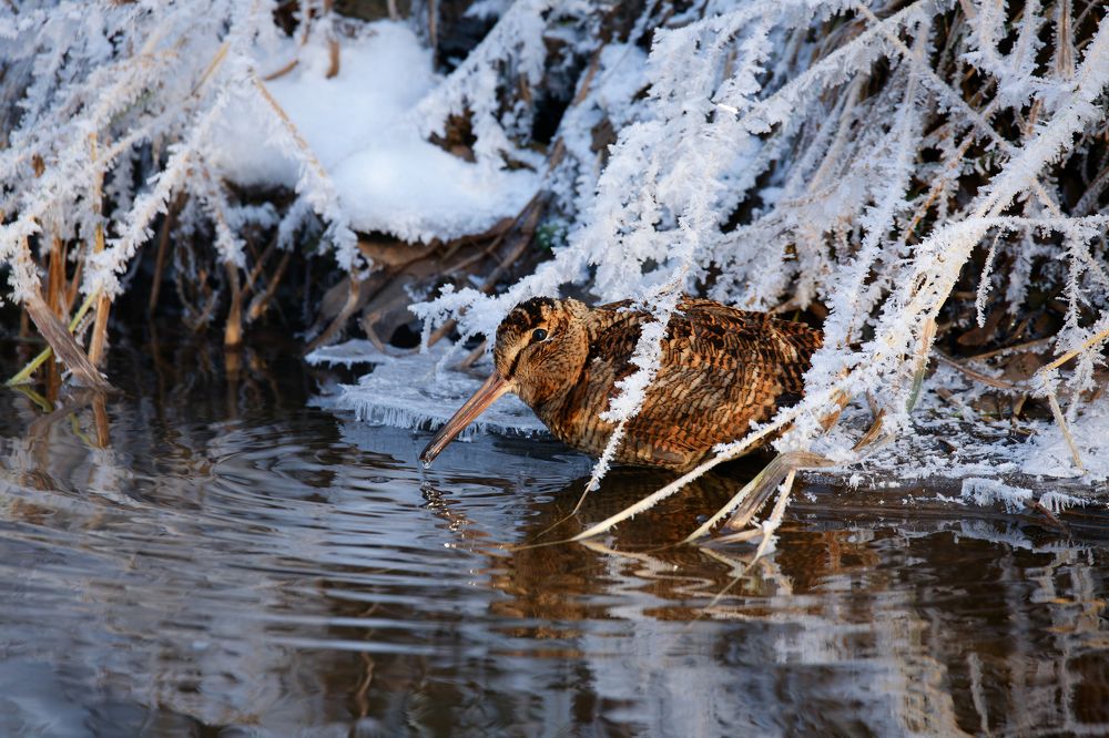Photograph by Сергей Савельев