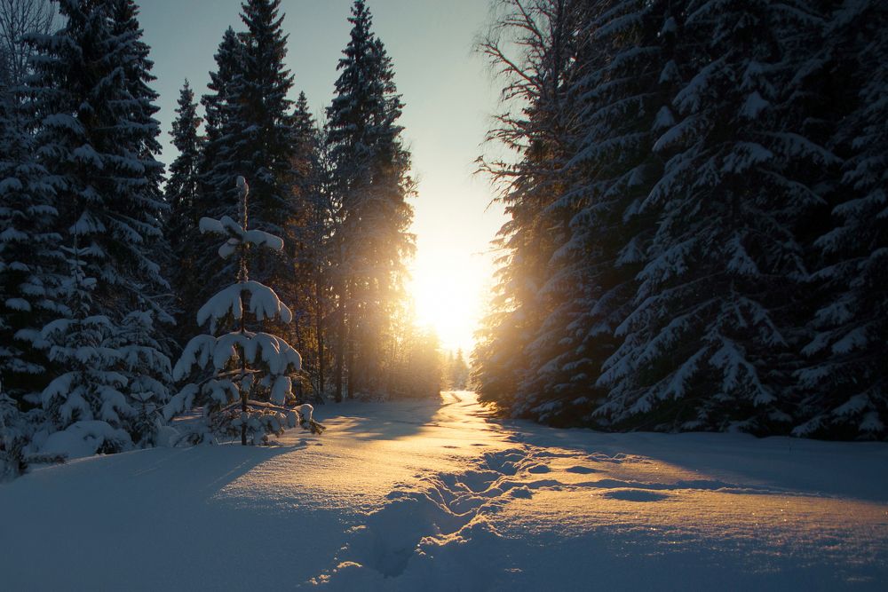 Photograph by Андрей Куликов