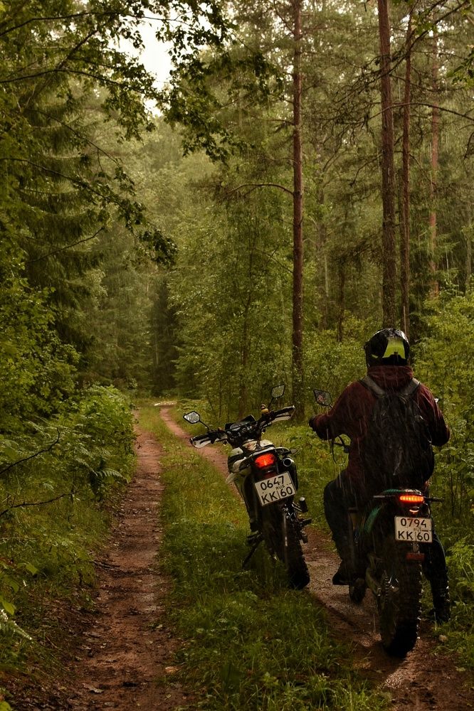 Photograph by Татьяна Абабкова