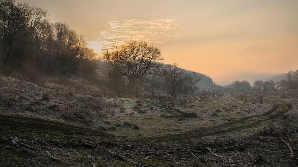 Photograph by Людмила Железнова