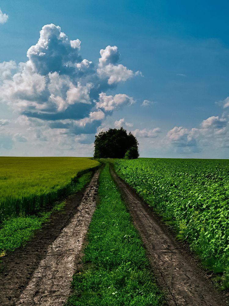 Photograph by Наталья Асоскова