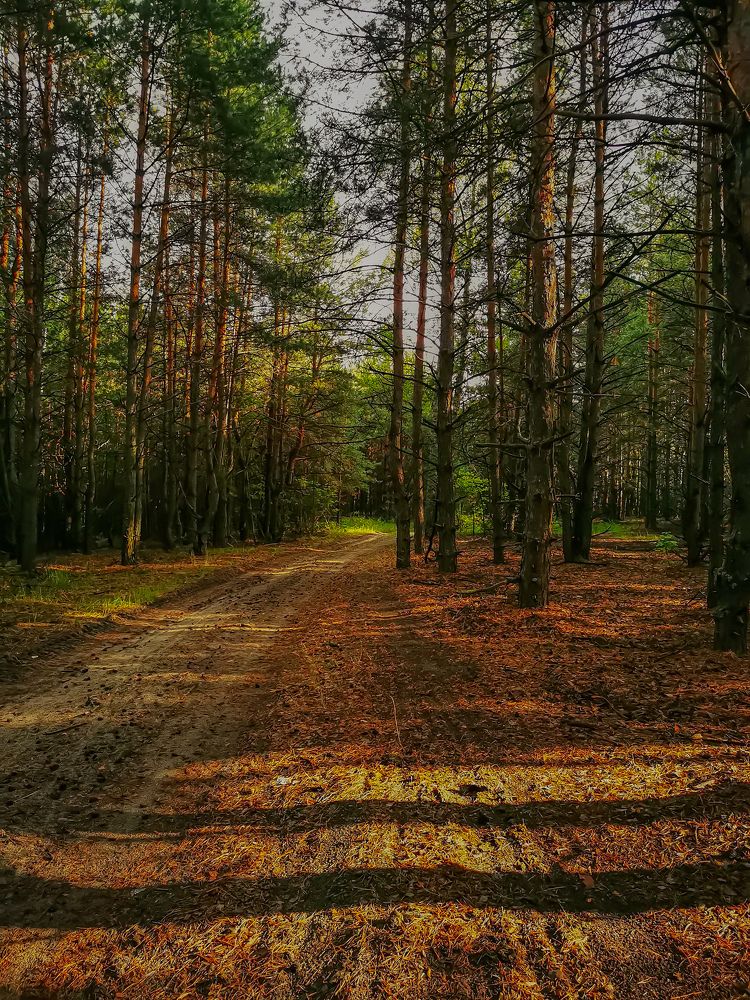 Photograph by Наталья Асоскова