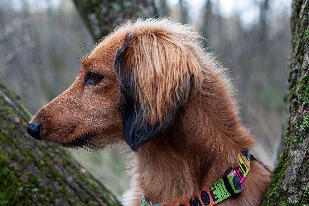 Photograph by Алла Логинова