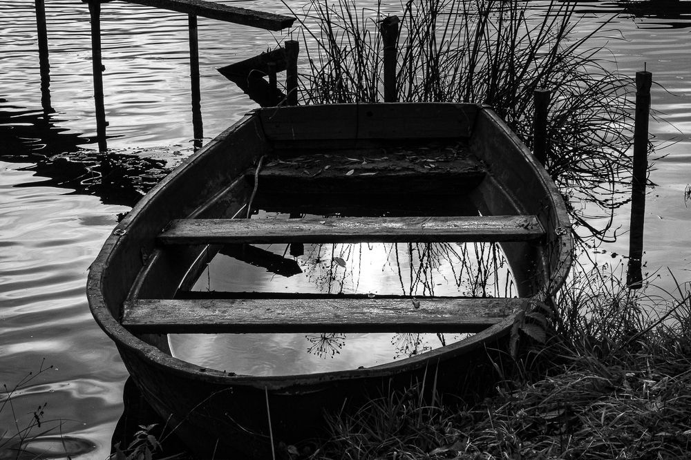 Photograph by Алла Логинова