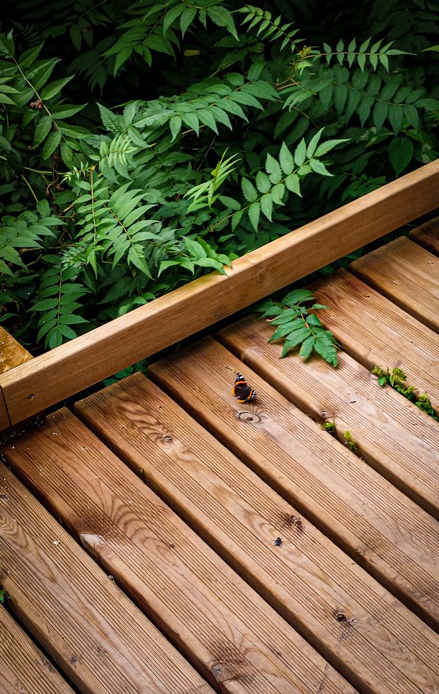 Photograph by Наталия