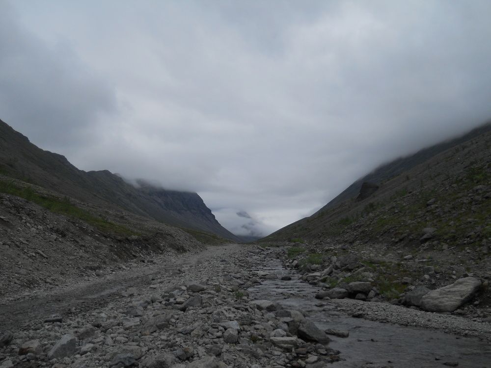 Photograph by Светлана Зотова