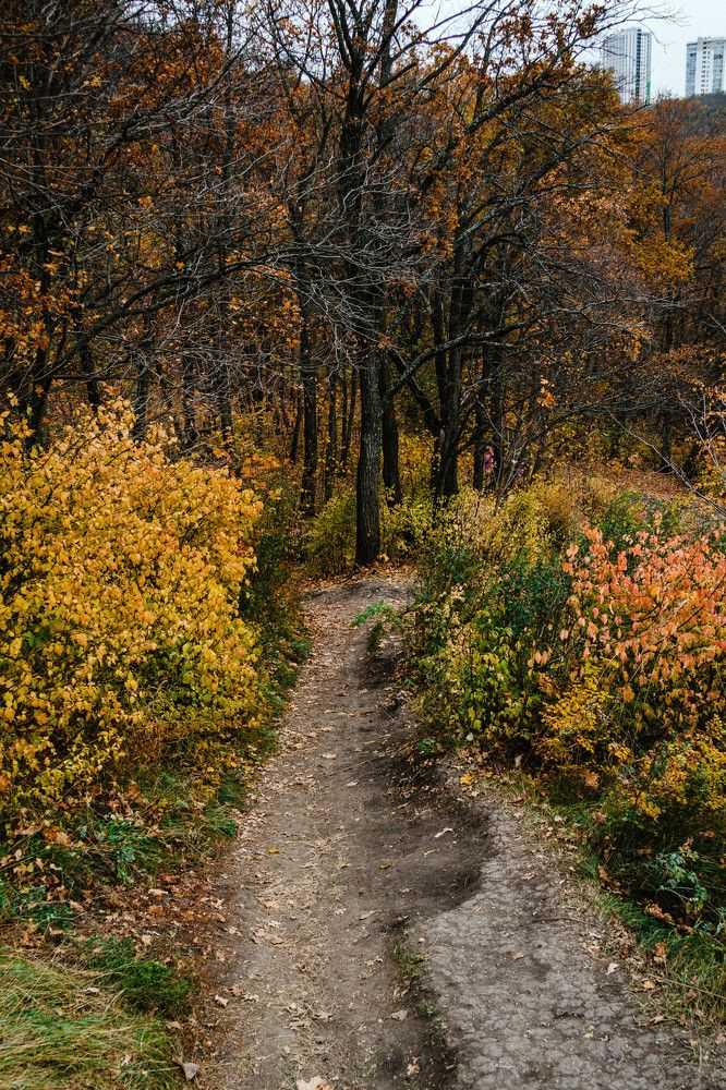 Photograph by Азамат Хатыпов